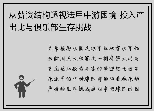 从薪资结构透视法甲中游困境 投入产出比与俱乐部生存挑战